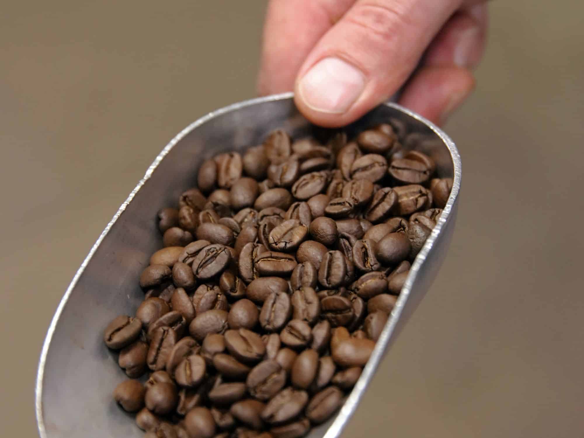 Café en grains Méo Bio 250 grs 100% arabica – La Source – Epicerie
